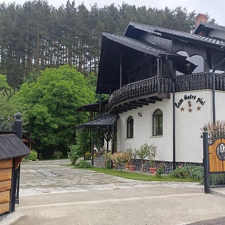 Casa Dintre Pini Villa Paltinoasa Bagian luar foto