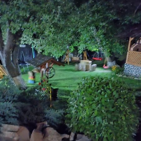 Casa Dintre Pini Villa Paltinoasa Bagian luar foto