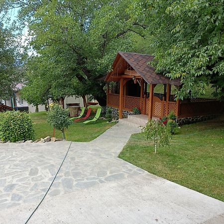 Casa Dintre Pini Villa Paltinoasa Bagian luar foto