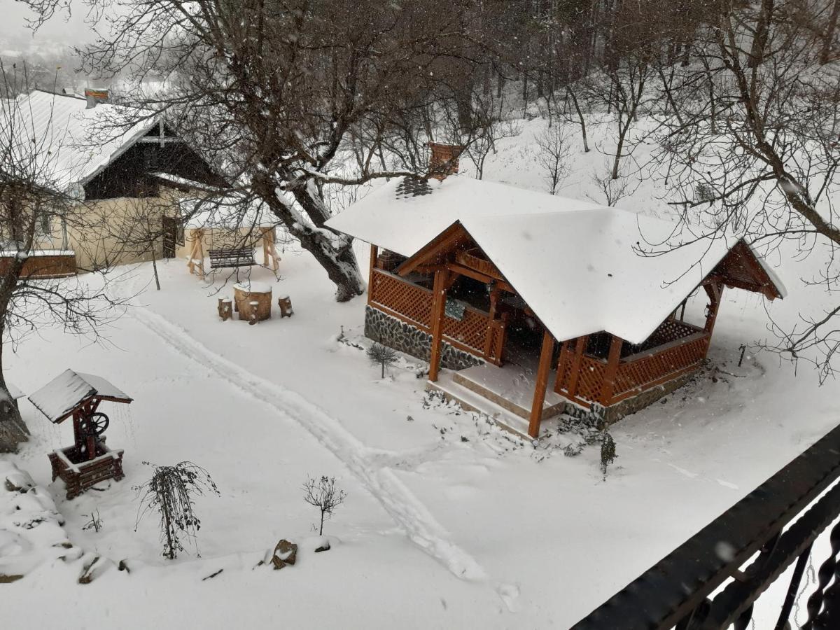 Casa Dintre Pini Villa Paltinoasa Bagian luar foto