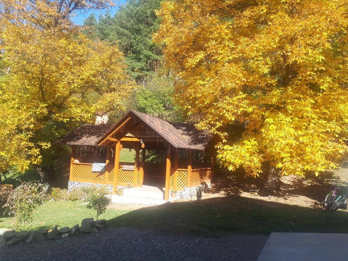 Casa Dintre Pini Villa Paltinoasa Bagian luar foto