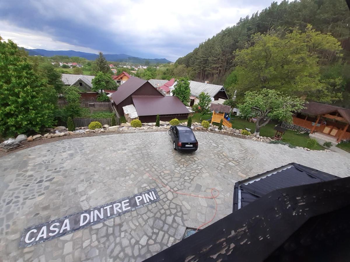 Casa Dintre Pini Villa Paltinoasa Bagian luar foto
