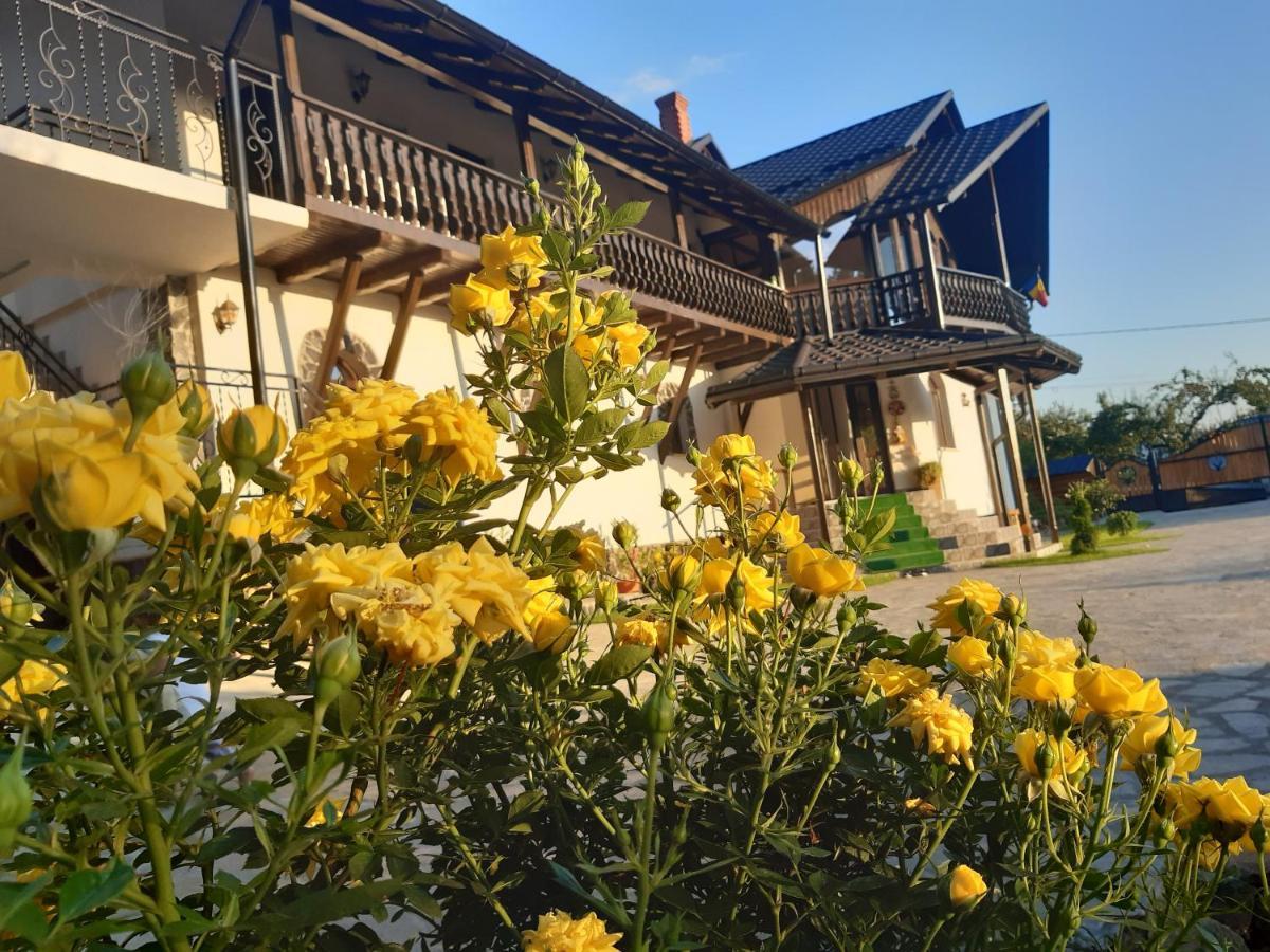 Casa Dintre Pini Villa Paltinoasa Bagian luar foto