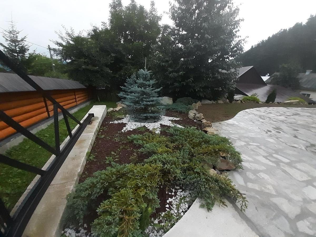 Casa Dintre Pini Villa Paltinoasa Bagian luar foto