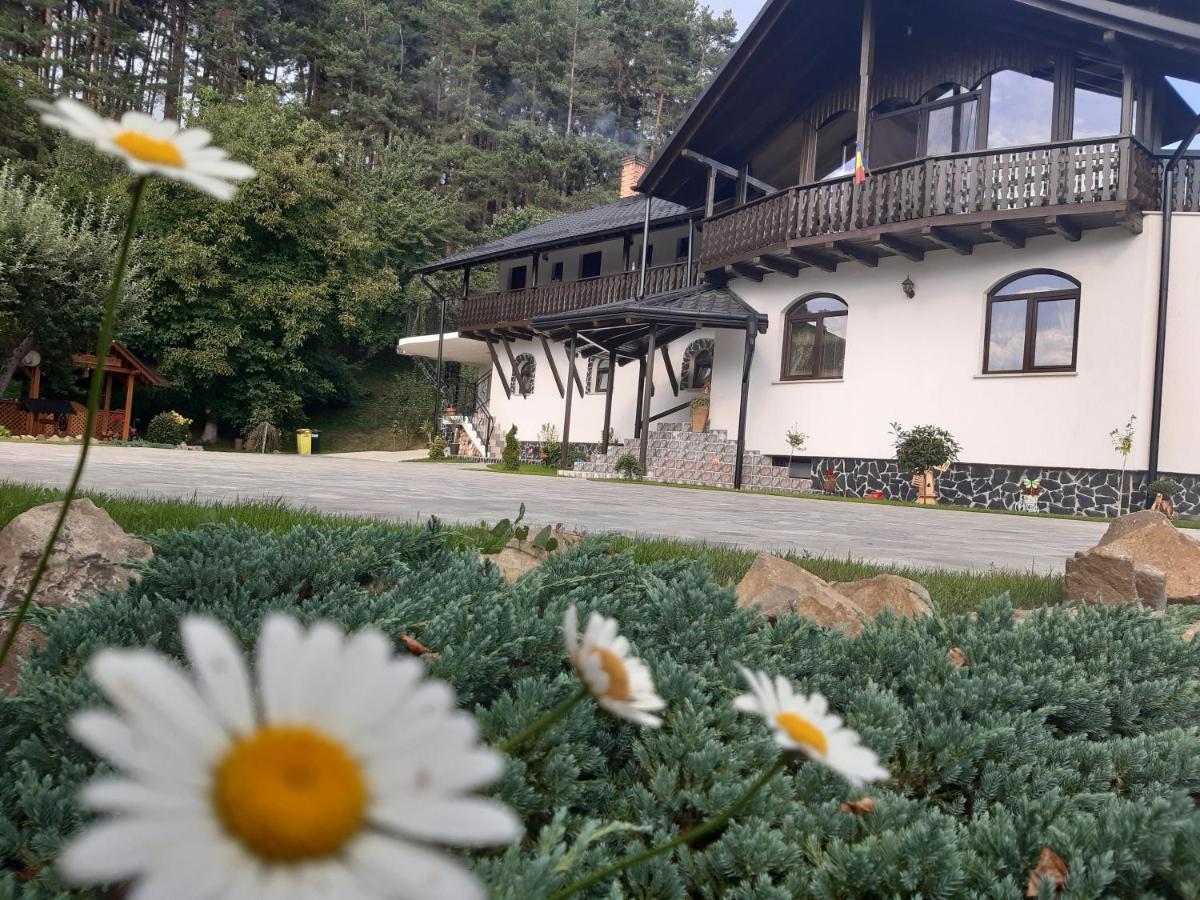 Casa Dintre Pini Villa Paltinoasa Bagian luar foto