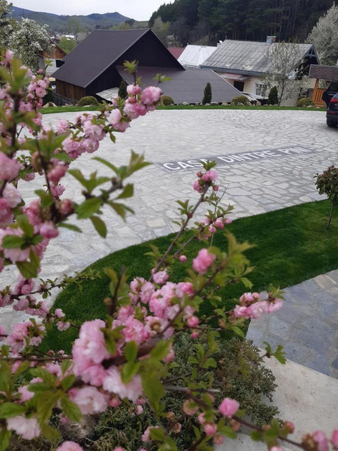 Casa Dintre Pini Villa Paltinoasa Bagian luar foto