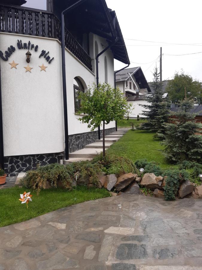 Casa Dintre Pini Villa Paltinoasa Bagian luar foto