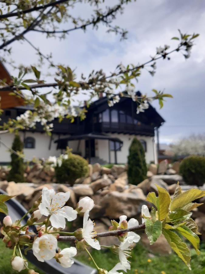 Casa Dintre Pini Villa Paltinoasa Bagian luar foto
