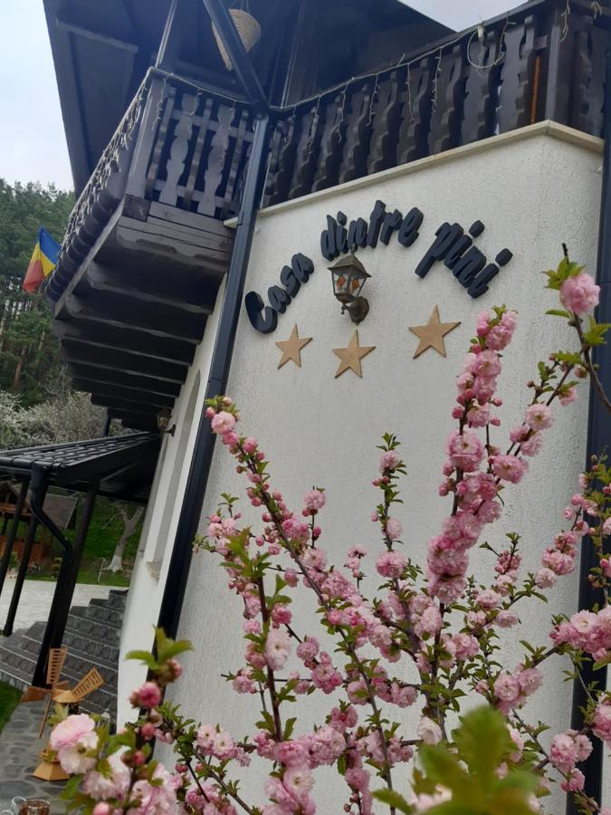 Casa Dintre Pini Villa Paltinoasa Bagian luar foto