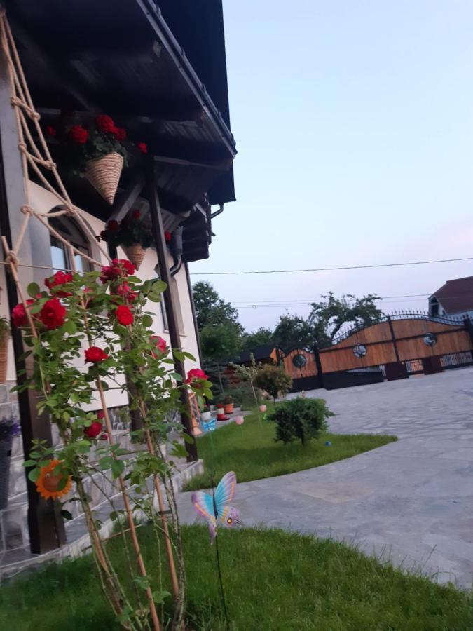 Casa Dintre Pini Villa Paltinoasa Bagian luar foto