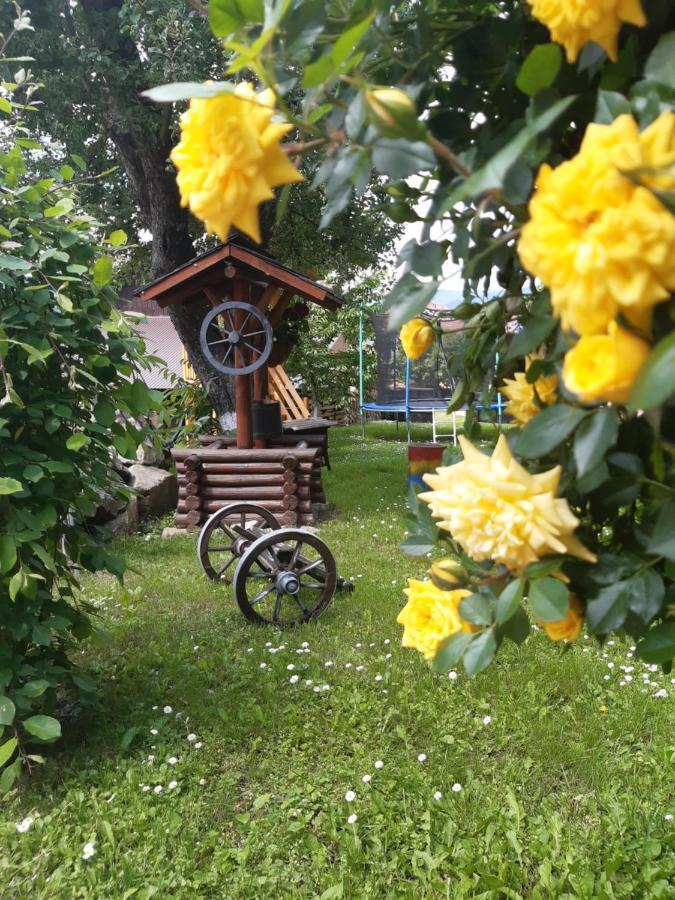 Casa Dintre Pini Villa Paltinoasa Bagian luar foto