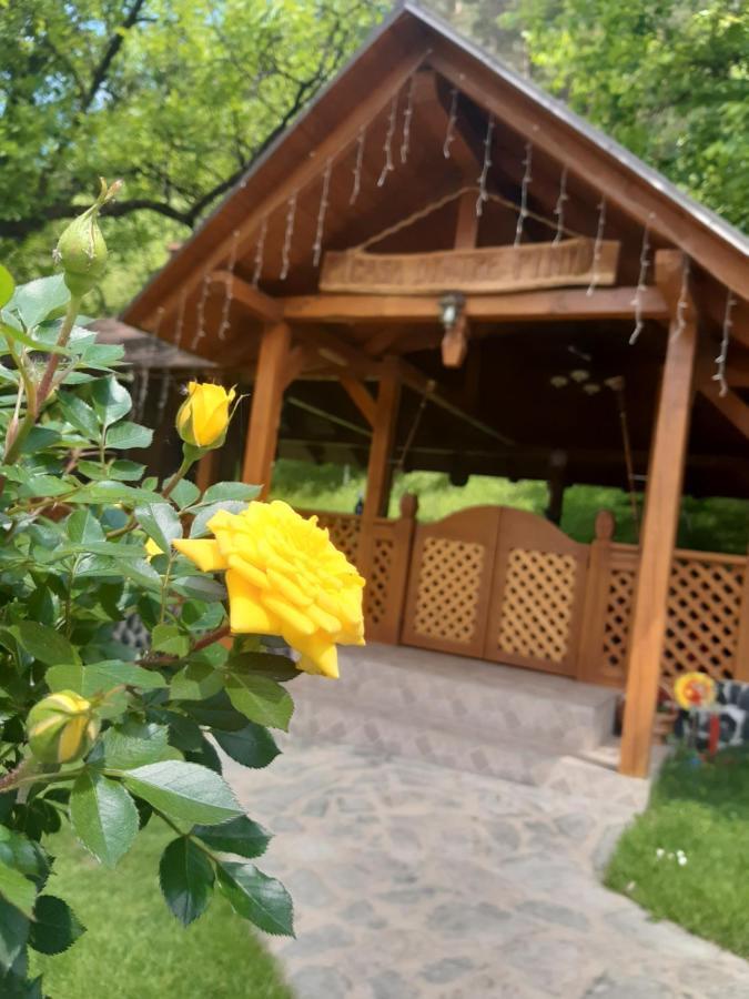 Casa Dintre Pini Villa Paltinoasa Bagian luar foto