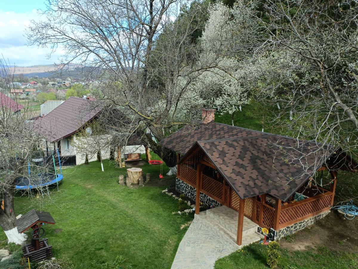 Casa Dintre Pini Villa Paltinoasa Bagian luar foto