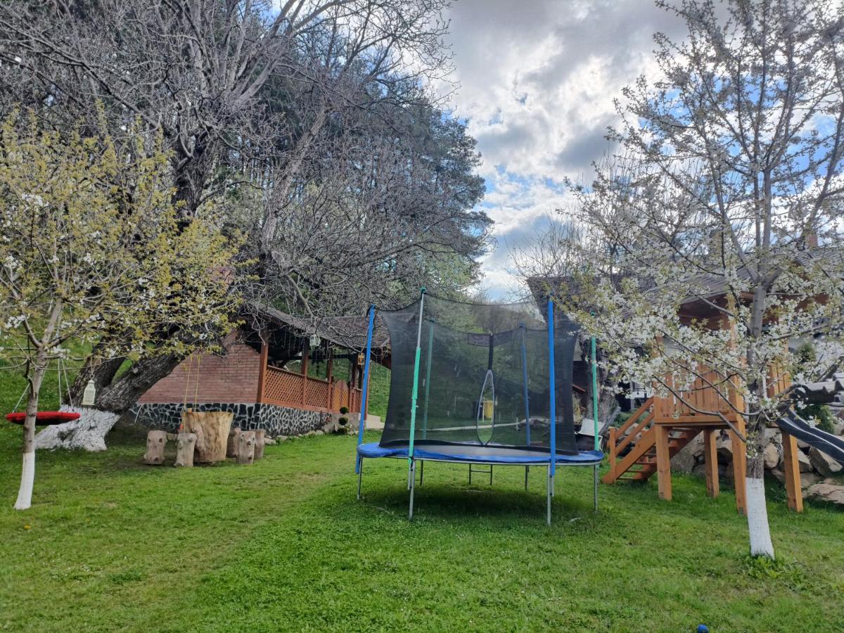 Casa Dintre Pini Villa Paltinoasa Bagian luar foto