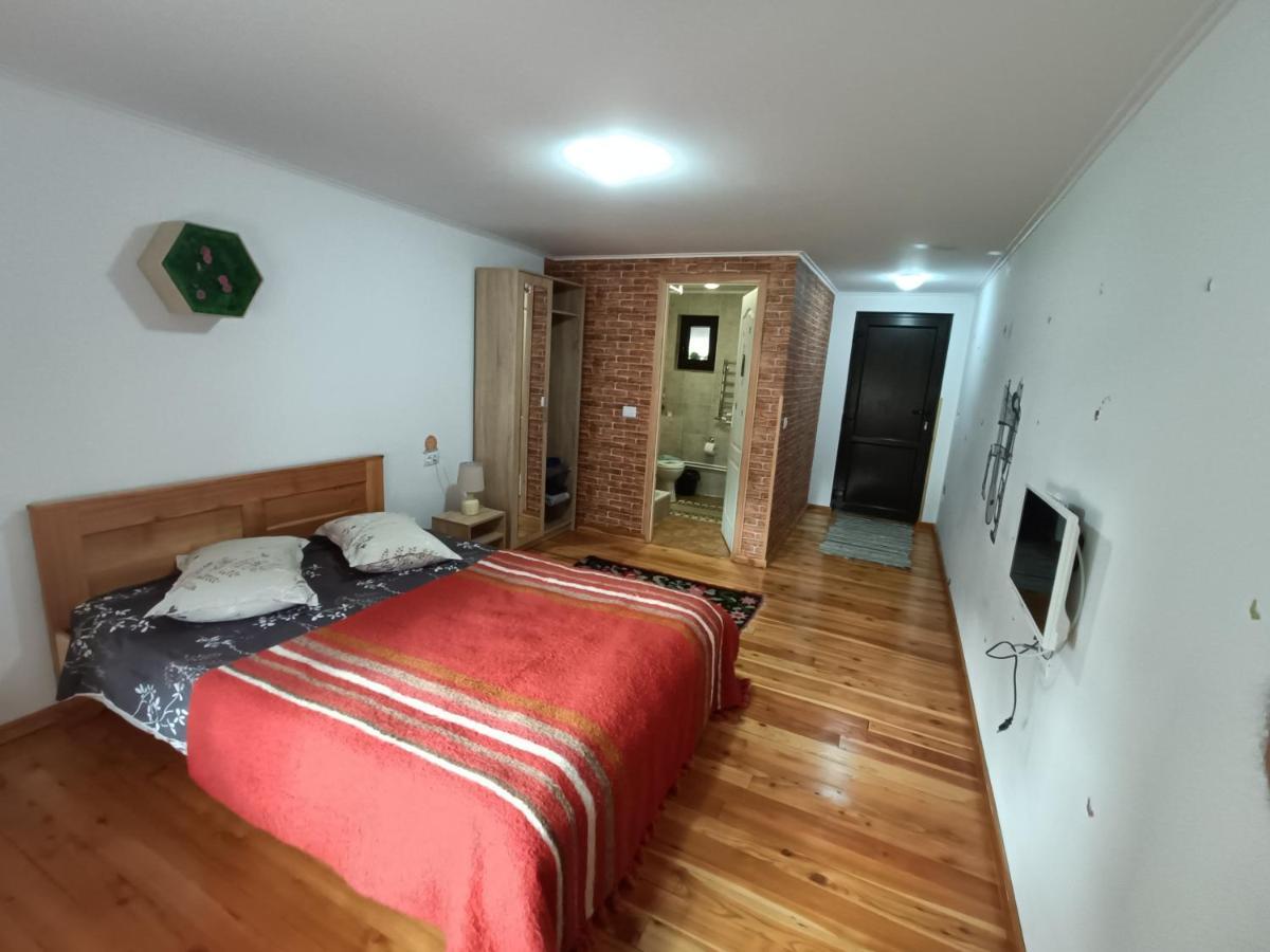 Casa Dintre Pini Villa Paltinoasa Bagian luar foto