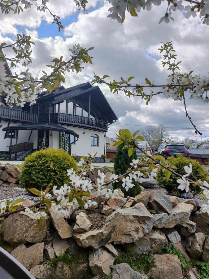 Casa Dintre Pini Villa Paltinoasa Bagian luar foto