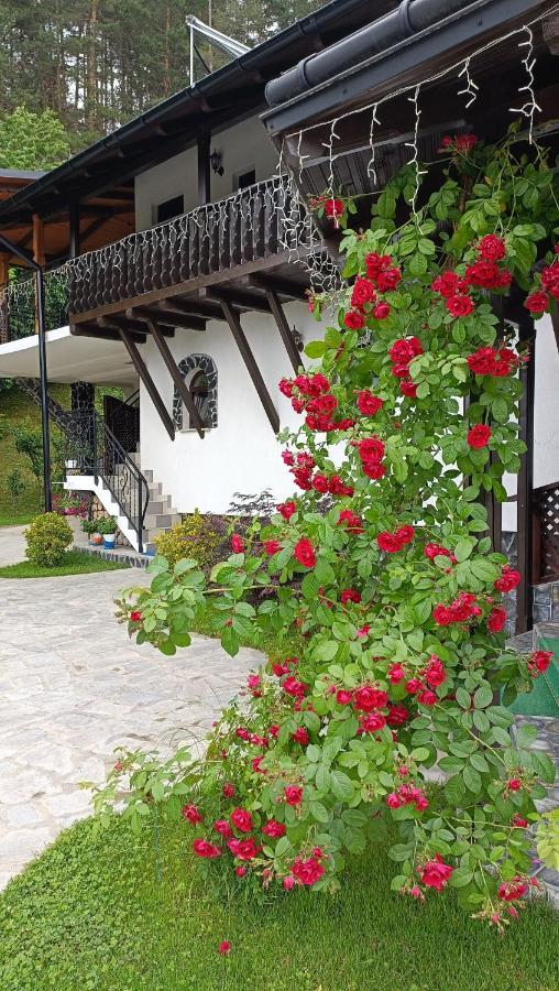 Casa Dintre Pini Villa Paltinoasa Bagian luar foto
