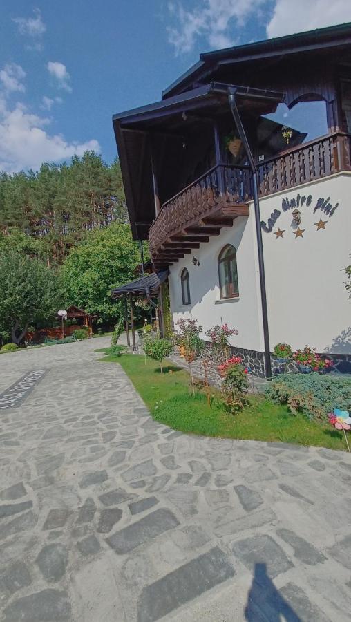 Casa Dintre Pini Villa Paltinoasa Bagian luar foto