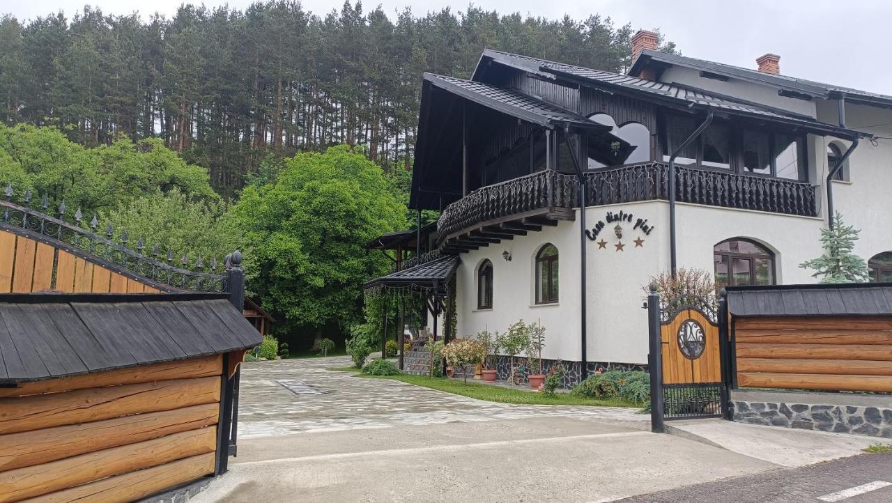 Casa Dintre Pini Villa Paltinoasa Bagian luar foto