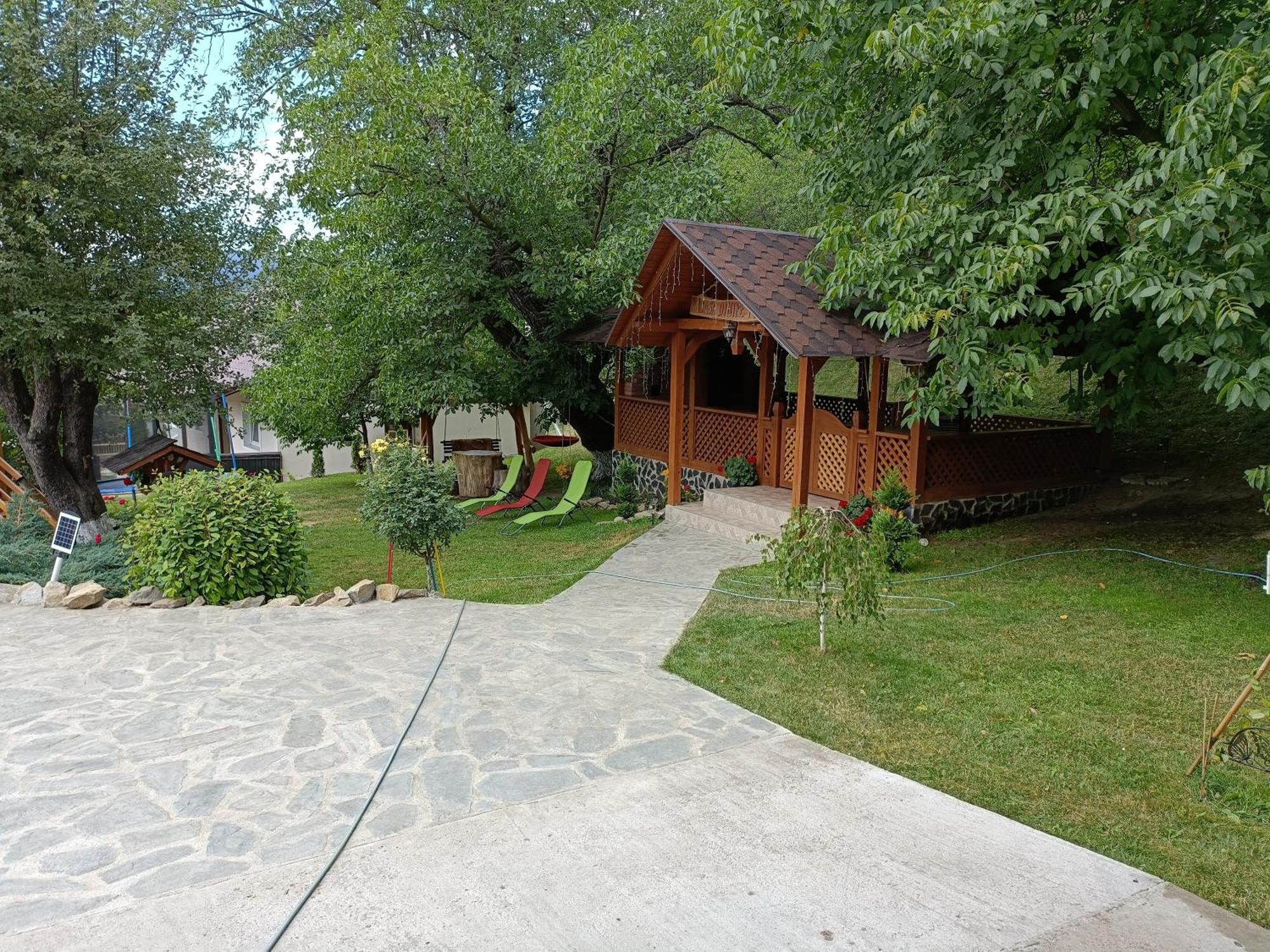 Casa Dintre Pini Villa Paltinoasa Bagian luar foto