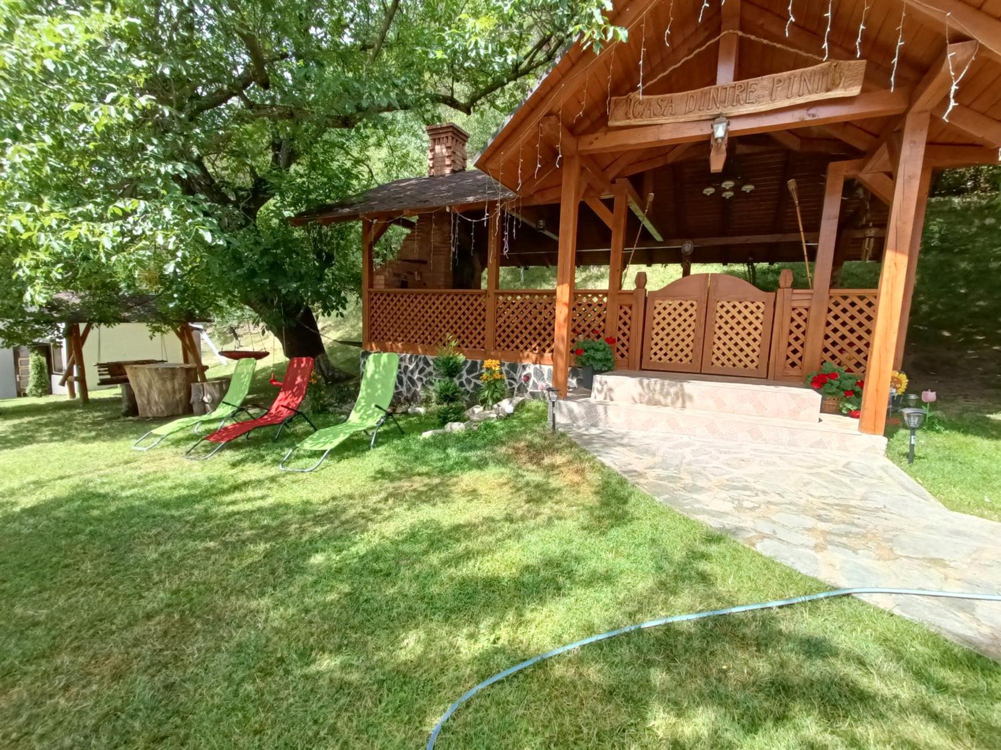 Casa Dintre Pini Villa Paltinoasa Bagian luar foto